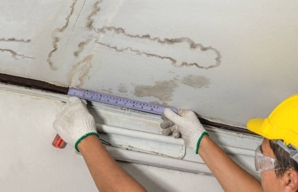 Reliable Sewage Cleanup contractor in Andover, MN by Water Damage Irwin